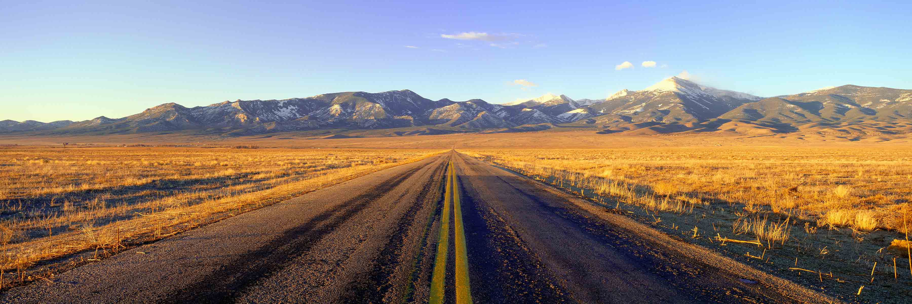 Resources and Contacts for Nevada Businesses