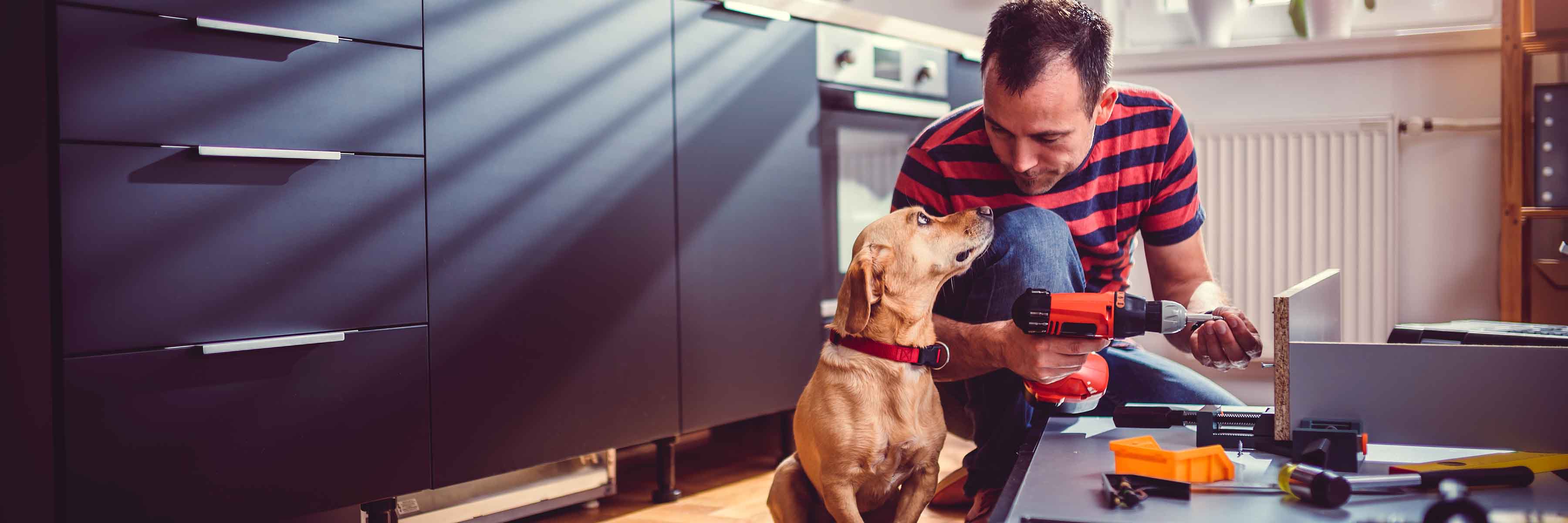 Budgeting for a Pet