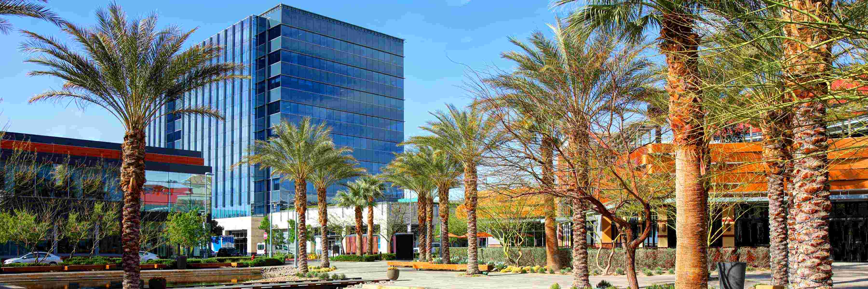 More Choices for Shoppers in Nevada